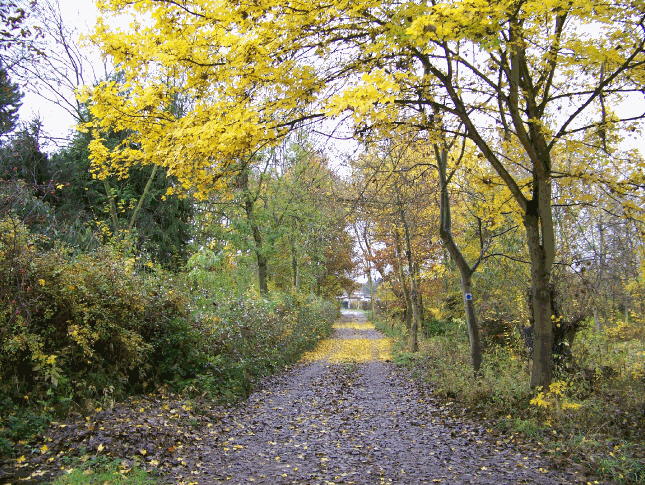 herbstweg