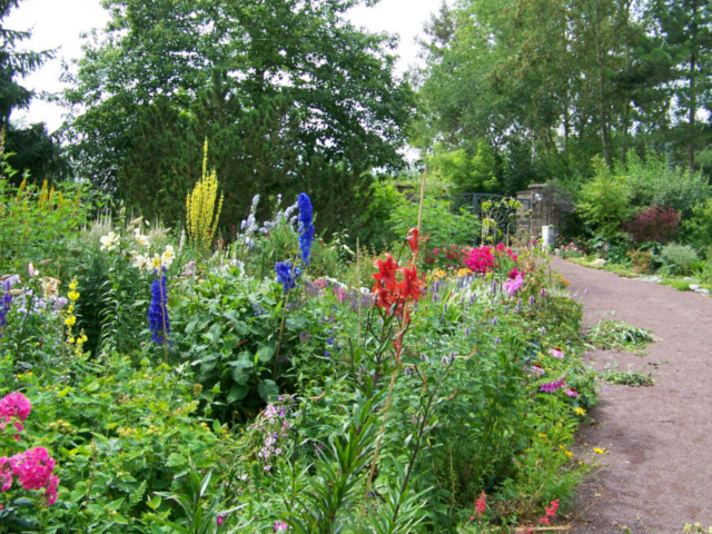 Klima Naturgarten Sommer